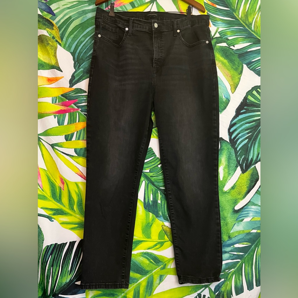 Banana Republic 33/16 High Rise Slim Preppy Classic School College Denim Jeans